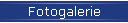 Fotogalerie